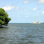 Cruising The Keys